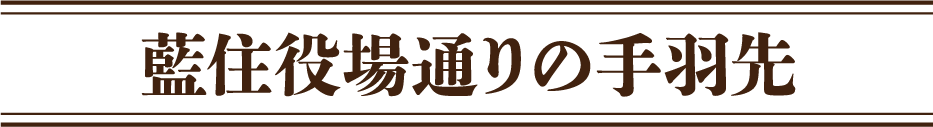 藍住役場通りの手羽先