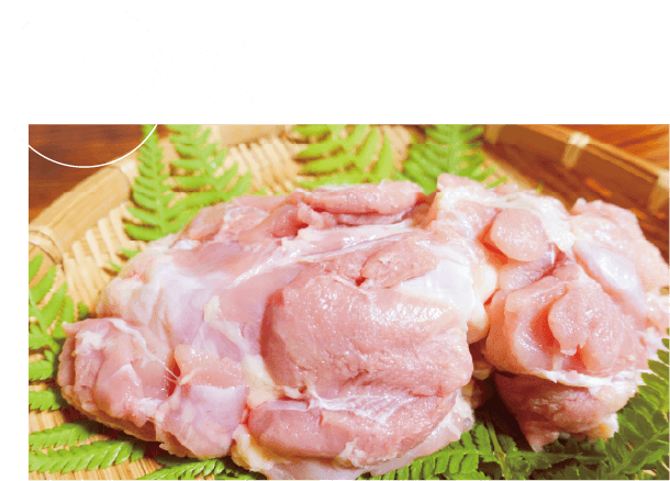 あぐらが一番に守らなければならないも