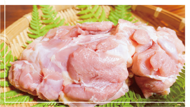 生産量はなんと地鶏の中で日本一