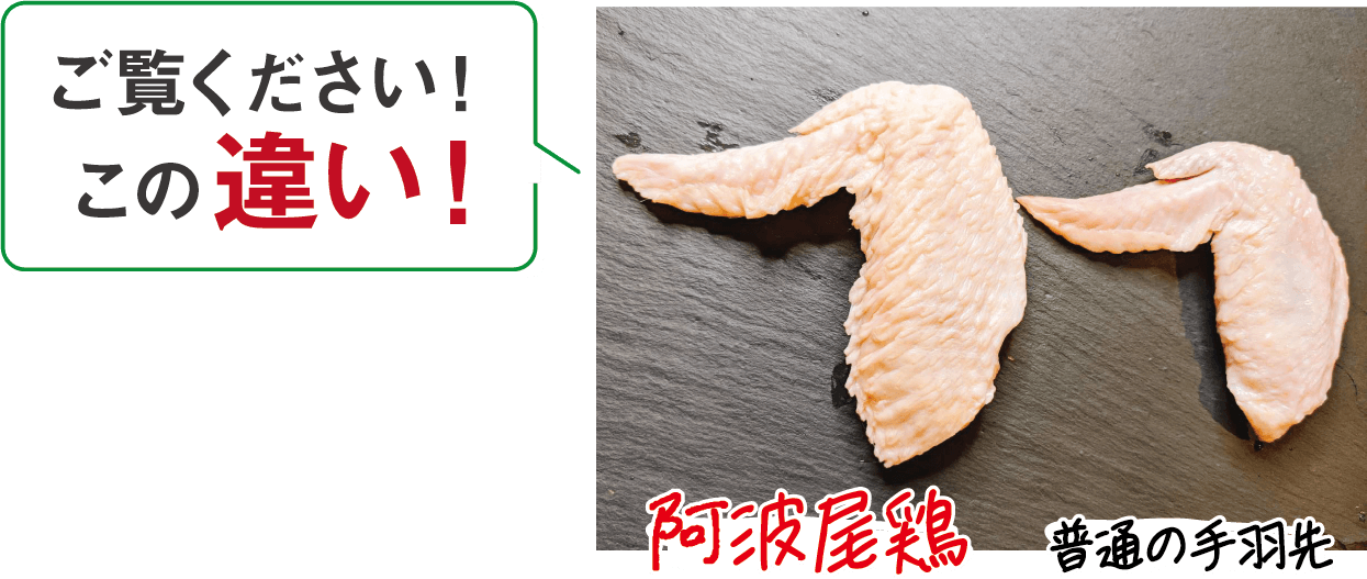 大きさも段違い